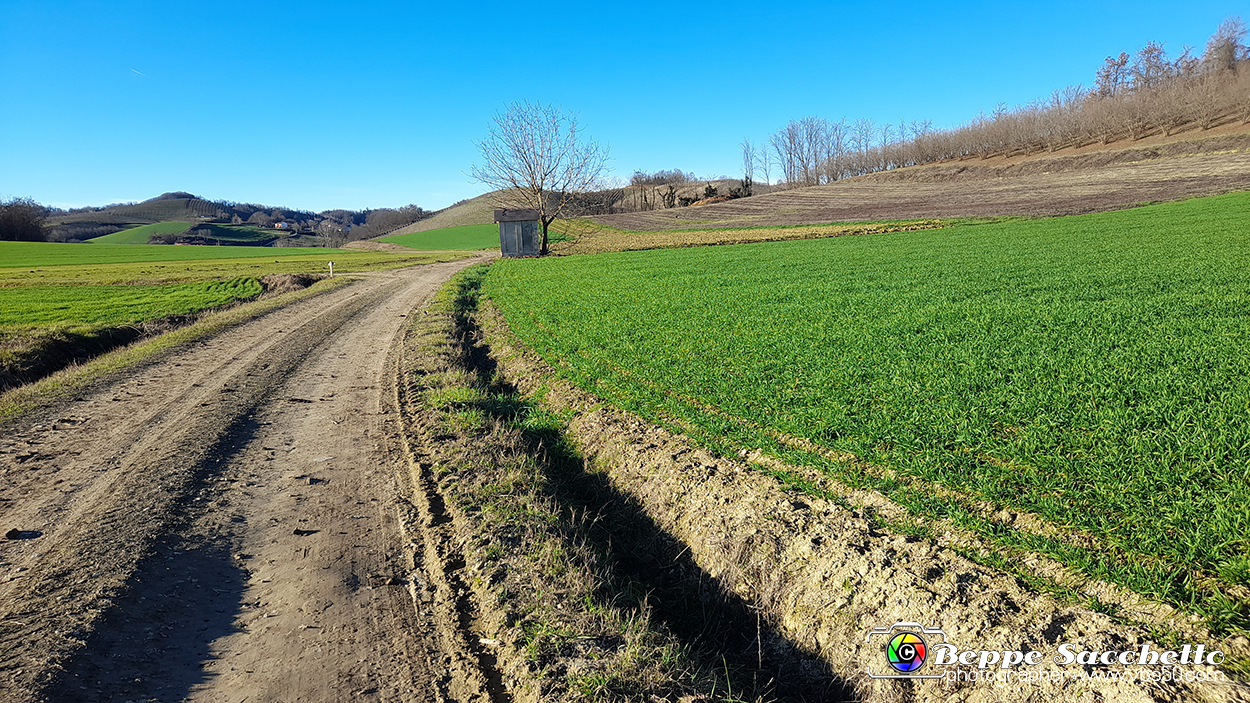 20230110_150358 - Dalla terra... il grano.jpg